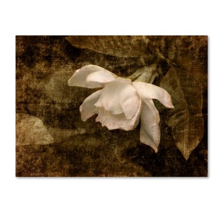 Trademark Fine Art Jai Johnson 'Cape Jasmine Gardenia 2' Canvas Art, 24x32 ALI14045-C2432GG